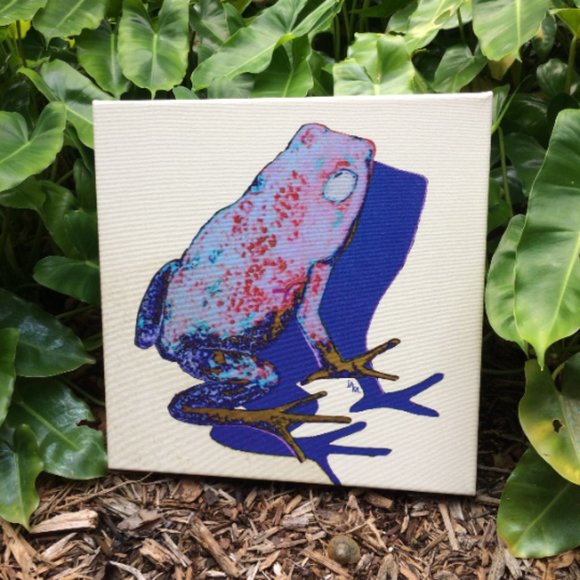 Frog - Original Wall Art print on 12 x 12 canvas - Picture 6 of 6